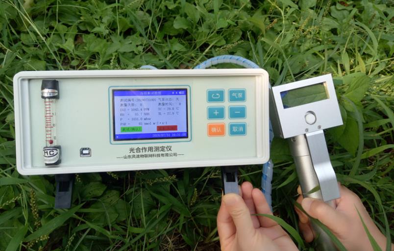 光合作用測(cè)定儀:研究數(shù)據(jù)為培育竹子提供指導(dǎo)依據(jù)