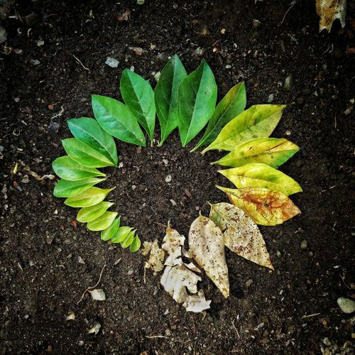 土壤水分類(lèi)型介紹